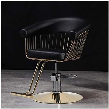 כיסא סלון קלאסי של WFYW לסטייליסט שיער מספרה, כיסא קעקוע כסאות ספר כסאות כבד הידראולי שכיבה שיער כיסא