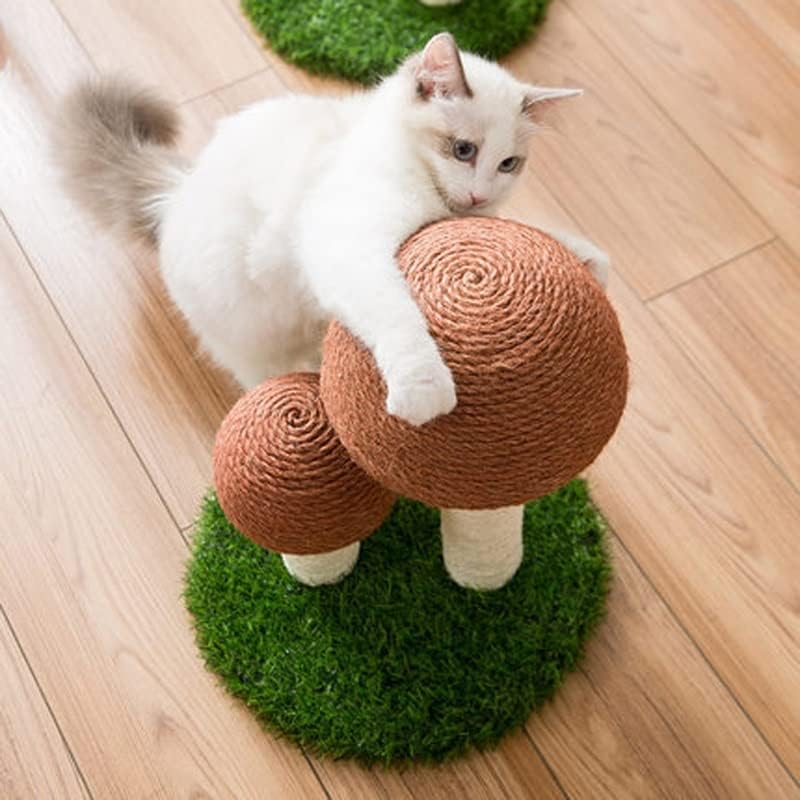 קקטוס לחיות מחמד חתול עץ צעצוע עם כדור גרוד חתול חתלתול טיפוס פטריות דירה