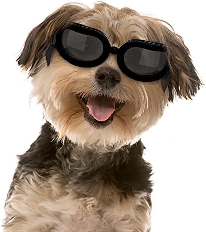 משקפי שמש של כלב פאוואבו, משקפי כלבים קטנים עם רצועה מתכווננת, אטום רוח אטום לרוח אטום לרוח כוסות מגניבות