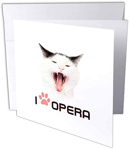 3חתול רוז שר שיר בקול רם. אני אוהב אופרה. מצחיק אופרה מאהב מתנה-ברכה כרטיס, 6 על ידי 6-אינץ