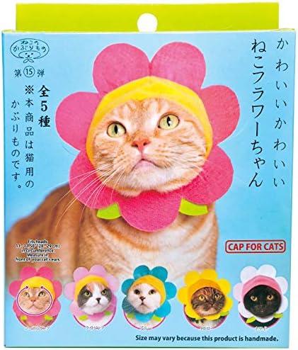כובע חתול מועדון קיטאן-קופסה עיוורת כובע לחיות מחמד כוללת 1 מתוך 5 סגנונות חמודים-רך ונוח-עיצוב קוואי